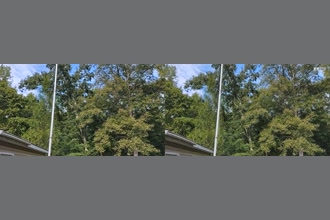 a thumdnail for published video. Trees and Flag Pole